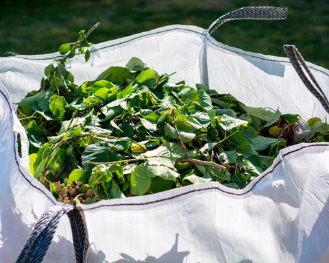 white rental bag with organic green garden waste