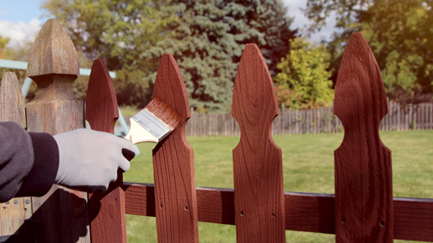 painting wooden fence with brown paint outside